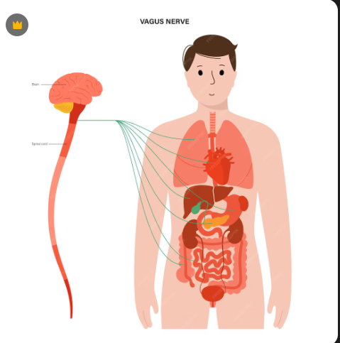 Best Anorectal Surgeon in Kamothe